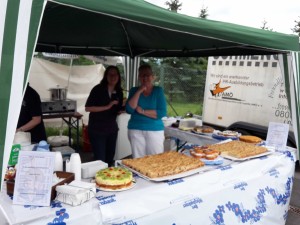 Grillfest 2017