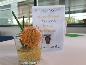 25. Hohe Ratsball
